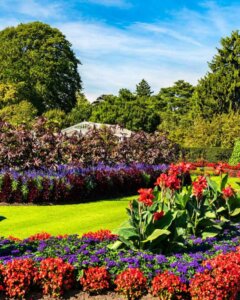 Image of kew gardens orchid festival
