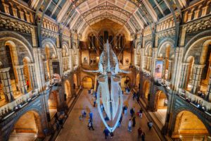 Natural History Museum